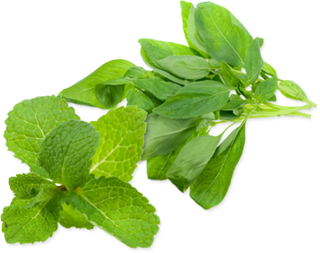 herbs
